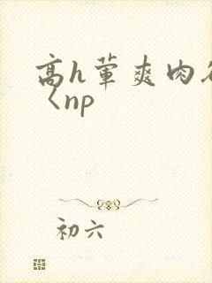 高h荤爽肉欲文〈np