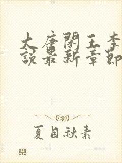 大唐闲王李慎小说最新章节列表