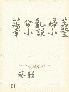 荡公乱妇第51章小说小莹