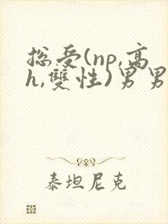 总受(np,高h,双性)男男