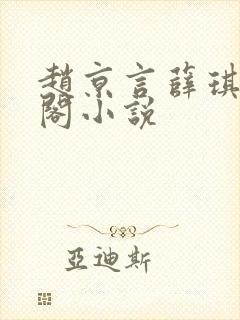 赵京言薛琪笔趣阁小说