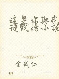 这是你与我的最后战场小说封面