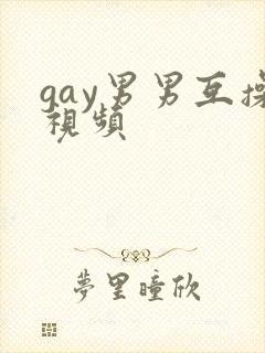 gay男男互操视频