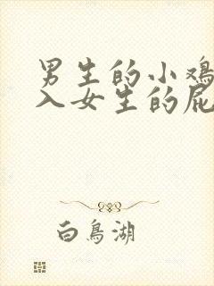 男生的小鸡鸡插入女生的屁眼里视频