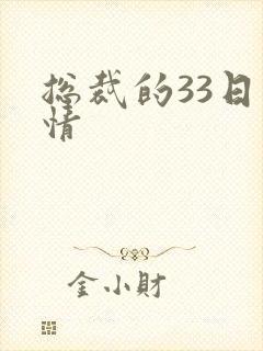 总裁的33日索情