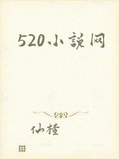 520小说网封面