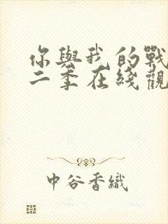 你与我的战场第二季在线观看封面