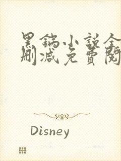 黑锅小说全文无删减免费阅读封面