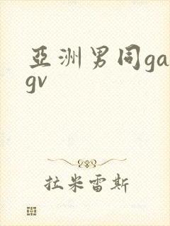 亚洲男同gaygv封面