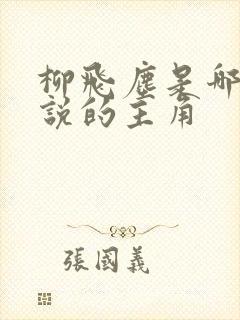 柳飞尘是哪部小说的主角封面