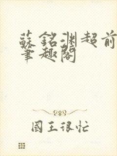 苏铭渊超前更新笔趣阁