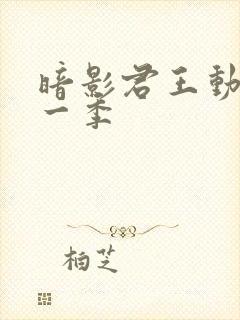 暗影君王动漫第一季封面