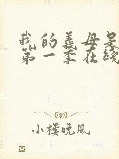 我的义母是魅魔第一季在线观看免费