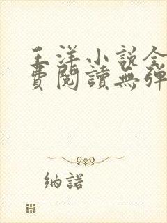 王洋小说全文免费阅读无弹窗