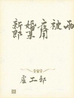 新婚夜被两个伴郎享用封面