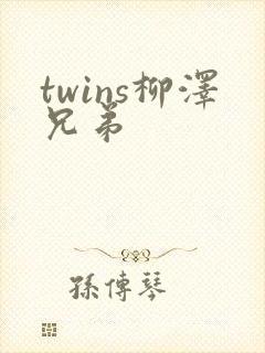 twins柳泽兄弟