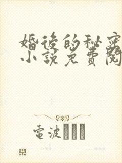 婚后的秘密张妍小说免费阅读