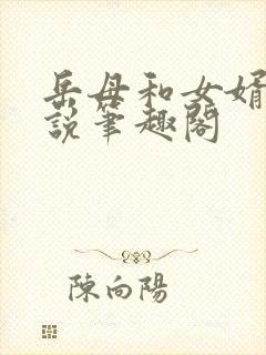 岳母和女婿的小说笔趣阁