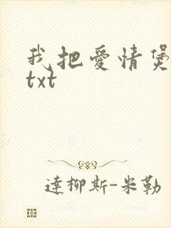 我把爱情煲成汤txt