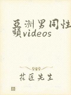 亚洲男同性恋视频videos封面