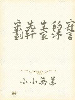 宋先生的宠妻计划轩家沐言