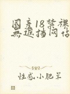 国产18禁裸体无遮挡网站