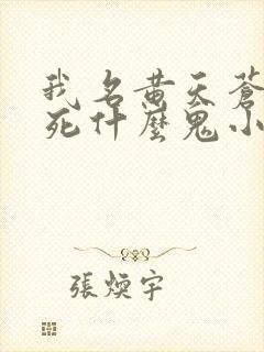 我名黄天苍天已死什么鬼小说笔趣阁无删减