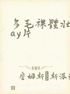 多毛裸体壮熊gay片