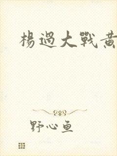 杨过大战黄蓉封面