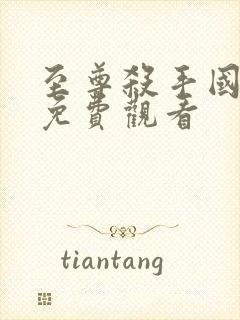 至尊杀手国语版免费观看