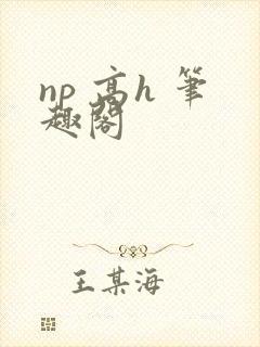 np 高h 笔趣阁