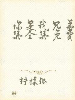 你是我兄弟36集全集免费观看封面