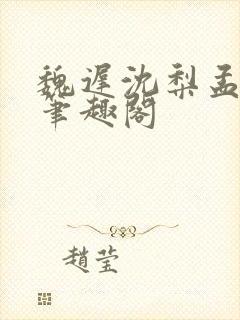 魏迟沈梨孟灵薇笔趣阁封面