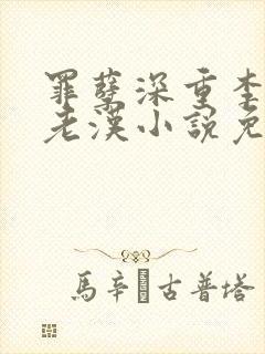 罪孽深重李茹王老汉小说免费全文