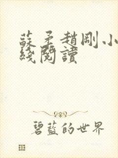 苏柔赵刚小说在线阅读