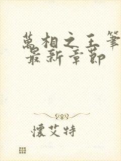 万相之王笔趣阁 最新章节