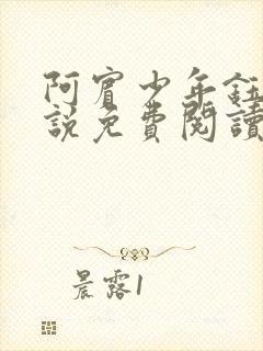 阿宾少年钰慧小说免费阅读笔趣阁