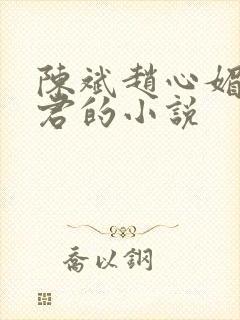 陈斌赵心媚高婉君的小说