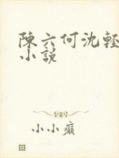 陈六何沈轻舞的小说封面