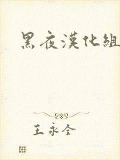 黑夜汉化组