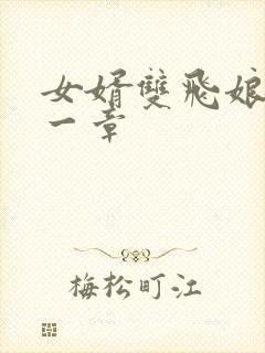 女婿双飞娘俩第一章