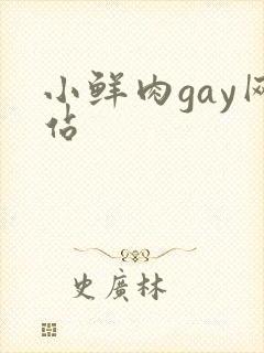 小鲜肉gay网站