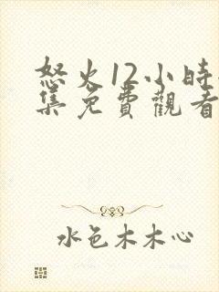 怒火12小时全集免费观看完整版高清