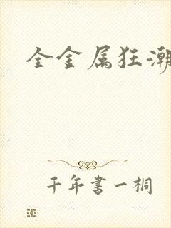 全金属狂潮小说封面