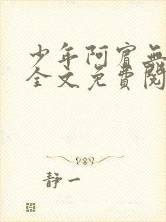 少年阿宾无删减全文免费阅读笔趣阁