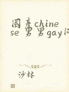 国产chinese 男男gay网站