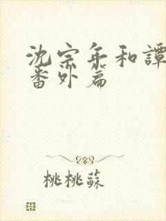 沈宗年和谭又明番外篇