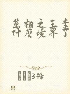 万相之王李洛到什么境界了