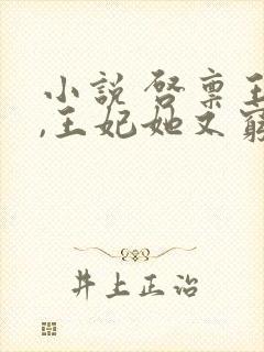 小说 启禀王爷,王妃她又穷疯了