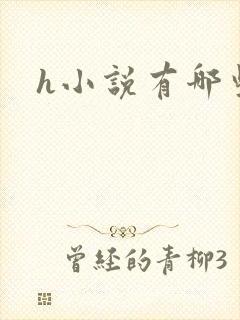 h小说有哪些封面